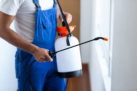 Best Pest Control for Hotels  in Peoria, AZ